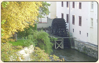 praha prohlidka kampy